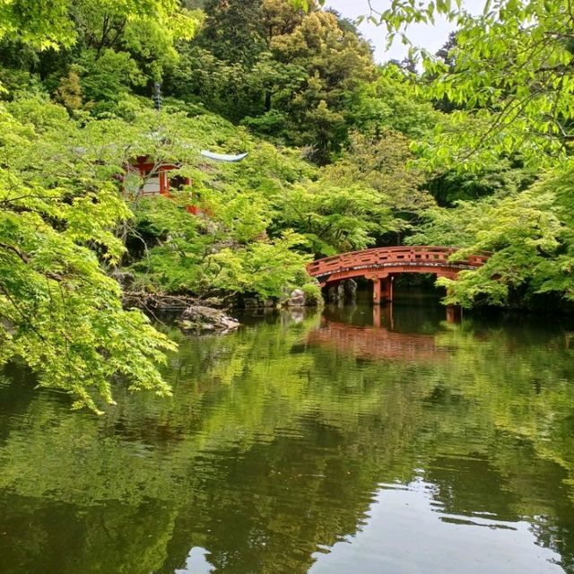 【京都】神社仏閣巡り 世界遺産醍醐寺を巡る