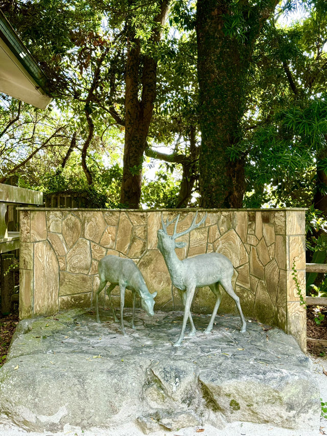 【福岡県】海神の総本社と龍の都