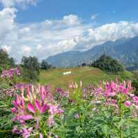 Sapa after Typhoon Yagi - we open ourselves to moment of unexpected beauty and inspiration ❤️