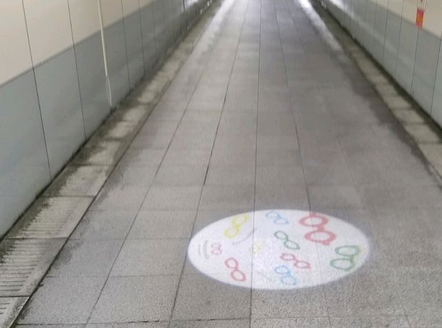 【福井】メガネのワンダーランド鯖江