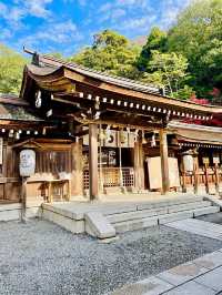 【京都府】白兎が可愛い