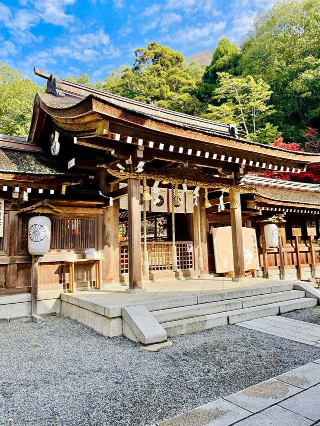 【京都府】白兎が可愛い