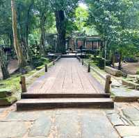 【カンボジア/シェムリアップ】自然と遺跡が融合した神秘的なタプローム寺院