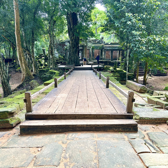 【カンボジア/シェムリアップ】自然と遺跡が融合した神秘的なタプローム寺院