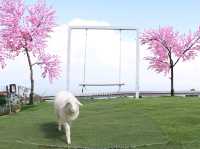 มาเที่ยวหาน้องแกะภูทับเบิก