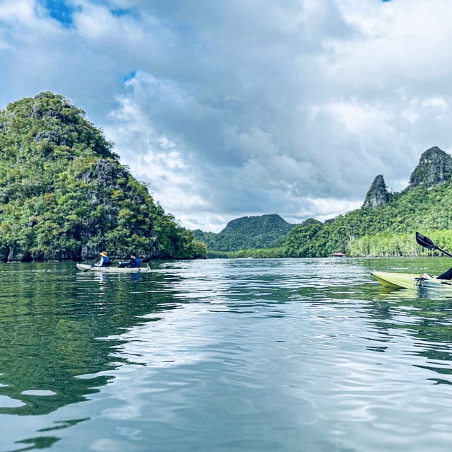 Kayaking Through the Mangroves of Kilim Geoforest Park
