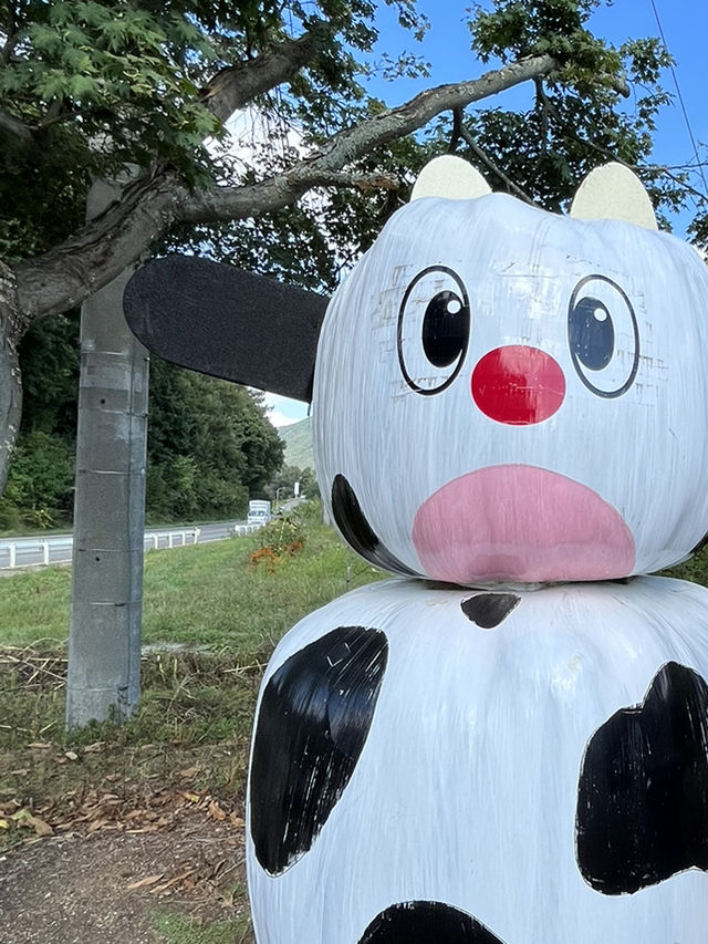 【八ヶ岳】無料で入れる満喫牧場！🐮