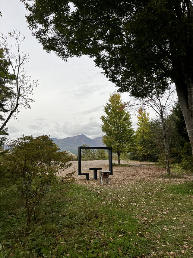【御代田町】穴場スポット！アートな世界🎨🌏