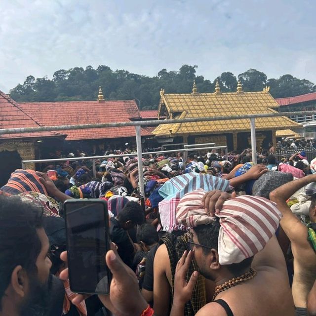 Wonderful Holiday