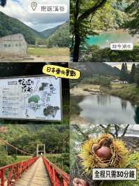 日本🇯🇵自然之美🥰抱返溪谷‼️東京出發短線3日2夜之選