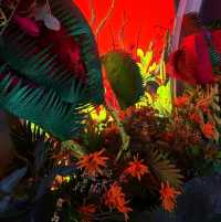SAMYAN MITRTOWN ENCHANTED OF HORROR 