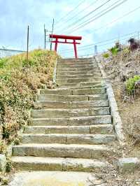 【埼玉県】毎年２月の初午祭あり