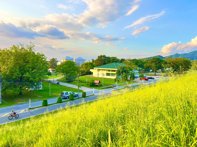 จุดชมวิวอ่างเก็บน้ำบางพระ