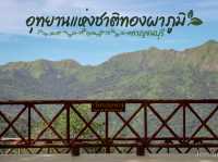 รีวิว อุทยานแห่งชาติทองผาภูมิ 🏔️🏕️