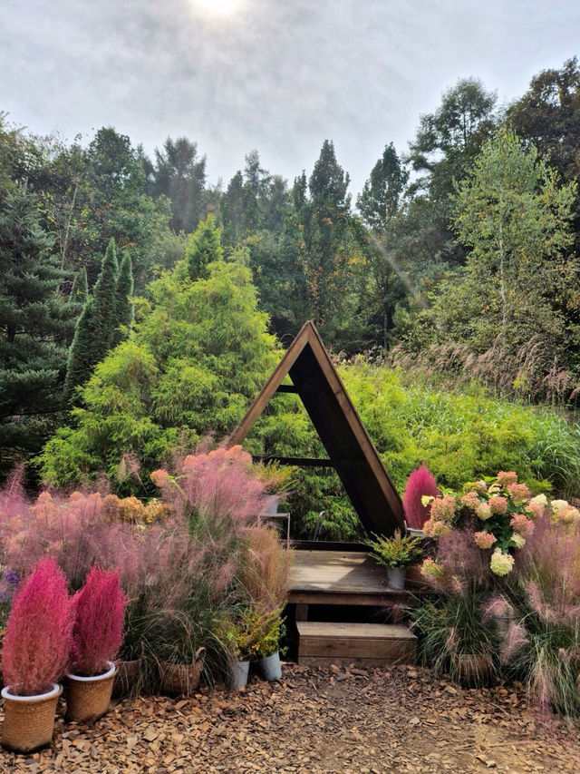☀️💘서울 근교 제이드가든 수목원 