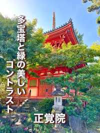 【東京都】多宝塔と緑の美しいコントラスト