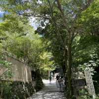 【圧巻！】福岡の南蔵院