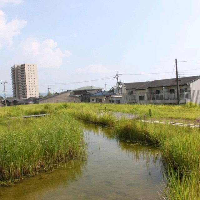 【滋賀】遊んで学べる！長浜・YANMARミュージアムでの未来体験