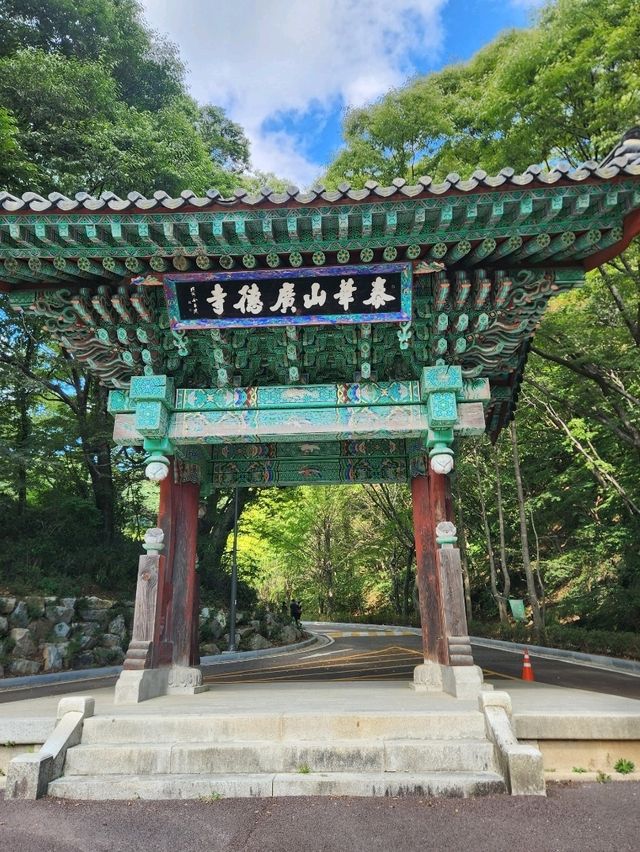 🤍정상에 코스모스도 있고 등산 데이트하기 딱 좋은, "천안 광덕산"🤍