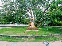 曼谷寺廟景點：Wat Phra Si Mahathat Woramahawihan瑪哈泰寺，適合休息發呆拍照📸打卡