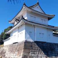 京都的歷史與文化遺產的魅力✨ 二條城🏯