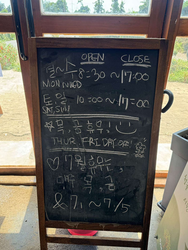 🍏🌈제주 귤 창고 에그타르트 맛집 청춘 부부 