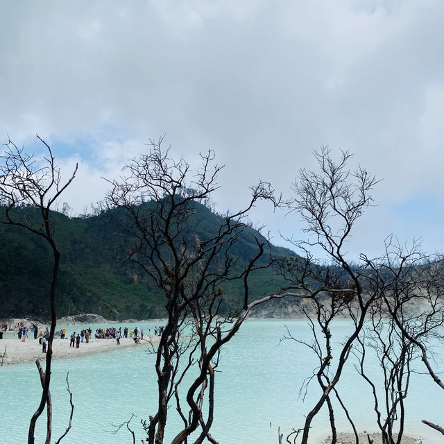 Trip moment at Indonesia 