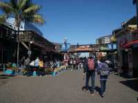 PIER 39 เที่ยวซานฟรานซิสโก อเมริกา 
