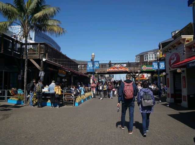 PIER 39 เที่ยวซานฟรานซิสโก อเมริกา 