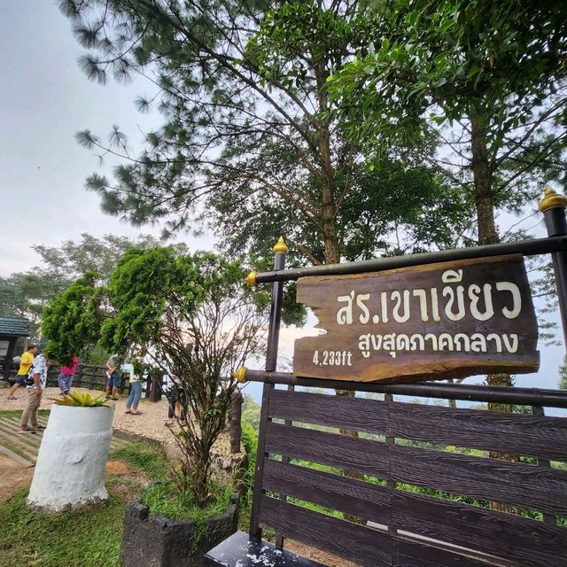 จุดกางเต็นท์เขาใหญ่ นอนท่ามกลางน้อนกวาง