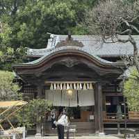 Nature’s Beauty and History: My Stunning Visit to Dazaifu Tenmangu!