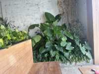 Bigboss work green brunch