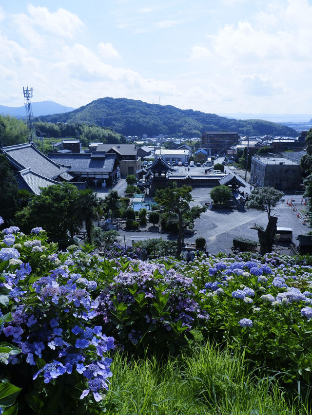 名古屋一日遊：花海＋溫泉