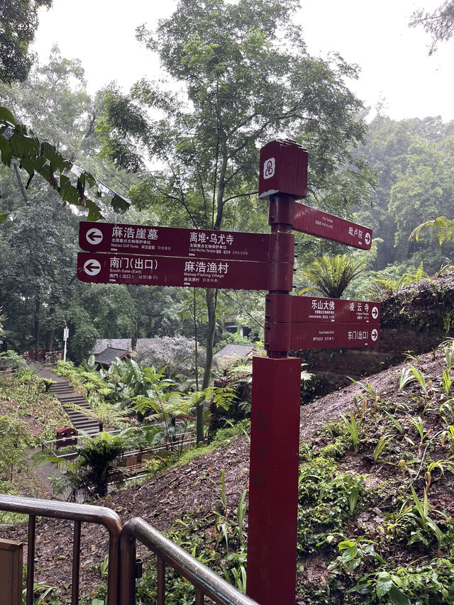 🌟成都樂山大佛遊記🌟