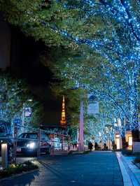 【東京】東京タワーと冬のイルミネーション🗼🩵