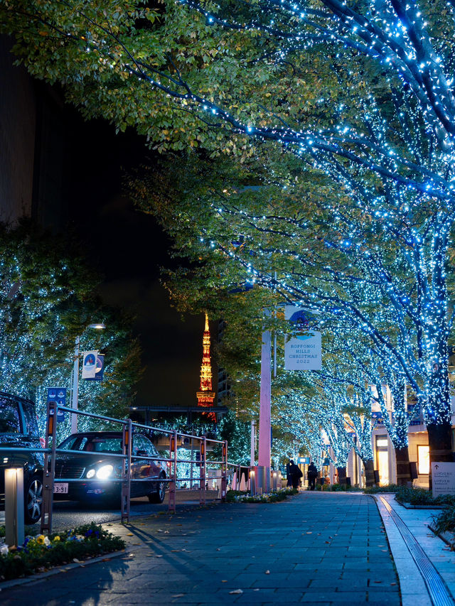 【東京】東京タワーと冬のイルミネーション🗼🩵