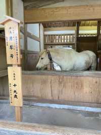 【香川県】こんぴらさん参拝前チェックリスト