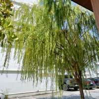 Balance café at Korat 