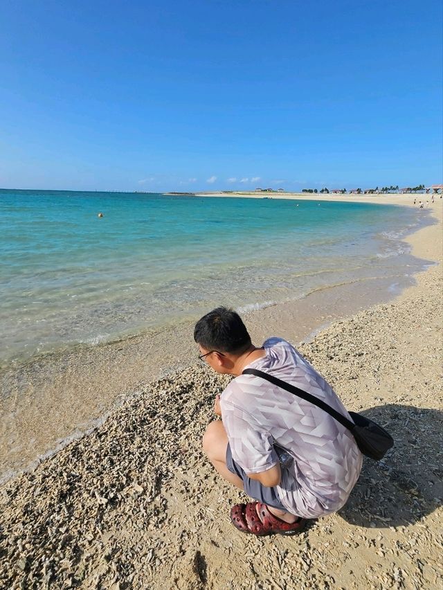 豊崎海浜公園