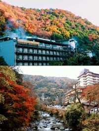 東京箱根🍁紅葉之旅🍁2天之行