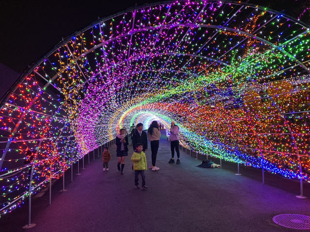 🇯🇵東京秋冬春限定 寶石點燈祭💎