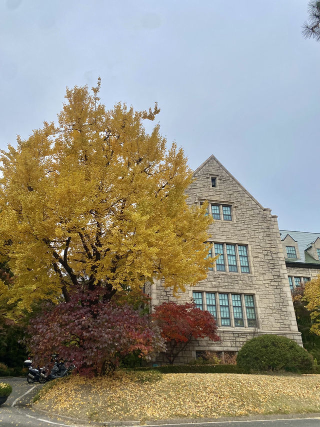 Exploring Ewha Womans University: A Beautiful Blend of Tradition and Modernity