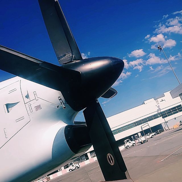 【カナダ×空港】シナモンロールとトーテムポールが魅力！