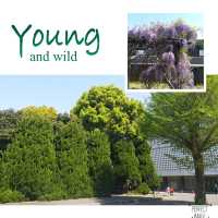 人氣打卡景點：北之丸公園
