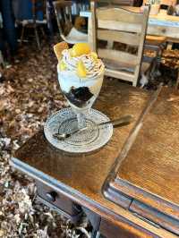 【福岡みやこ町】期間限定の落ち葉の絨毯のカフェ🍂