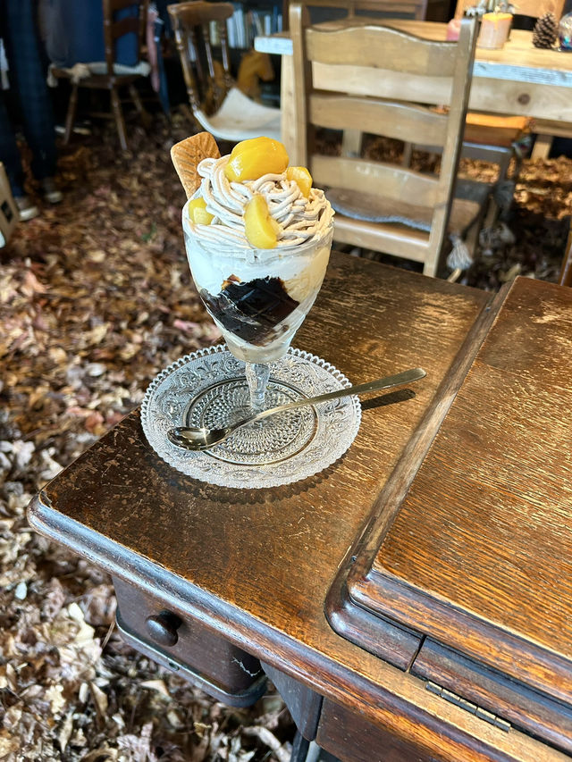【福岡みやこ町】期間限定の落ち葉の絨毯のカフェ🍂