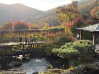 형형색색의 한국의 가을로 오세요 🍂