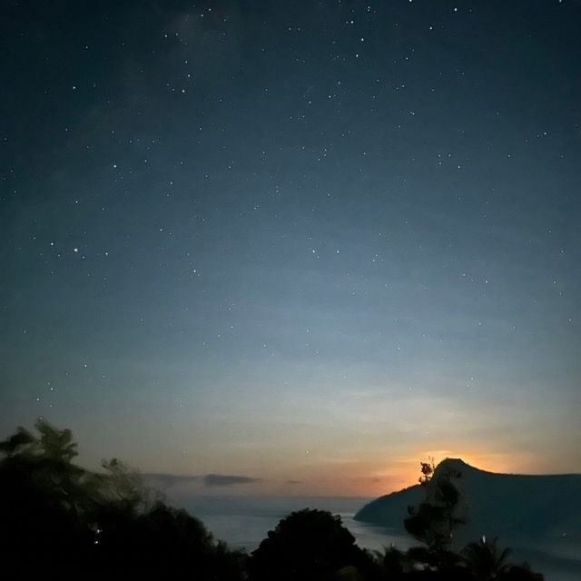 オーストラリア🍁ハミルトン島👒