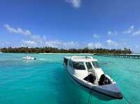 非凡享受：Alila Kothaifaru Maldives 水屋入住體驗
