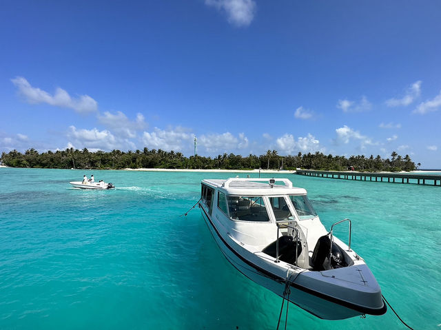 非凡享受：Alila Kothaifaru Maldives 水屋入住體驗